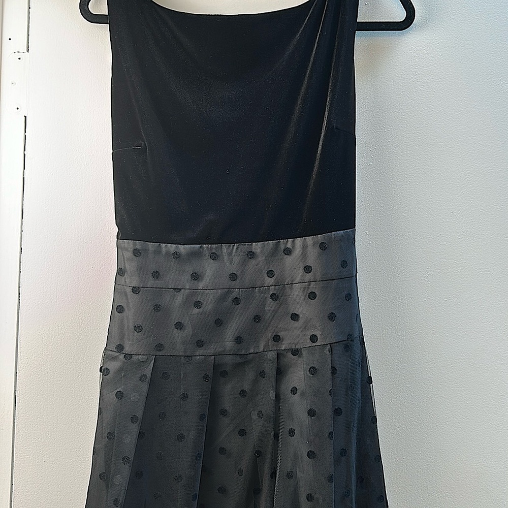Vintage Jones NY Velour Sheer Poka Dot Dress with Pockets & attached Belt